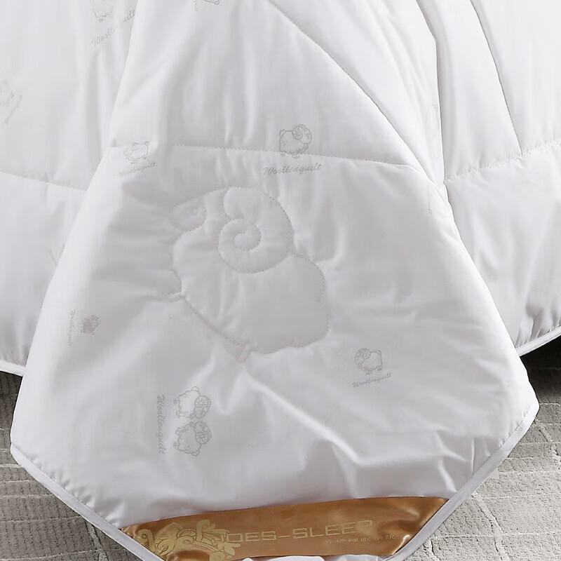 JOES HOME JDYM005 Warm All-Season Comforter