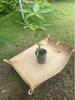 Garden Plant Cultivation Tray and Pad Set for Potted Plant Arrangement