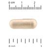 Basic B Complex, 60 Capsules