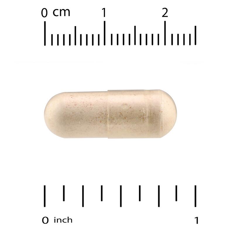 Basic B Complex, 60 Capsules