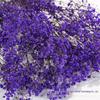 Gypsophila Preserved Flowers for DIY Arrangements & Wedding Decorations