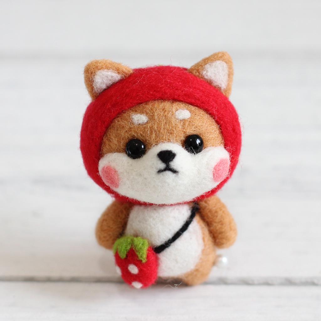 Felting Kit DIY For Beginners With