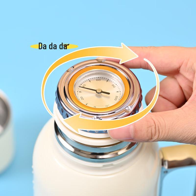 OLOEY 316 Stainless Steel Insulated Tea Flask