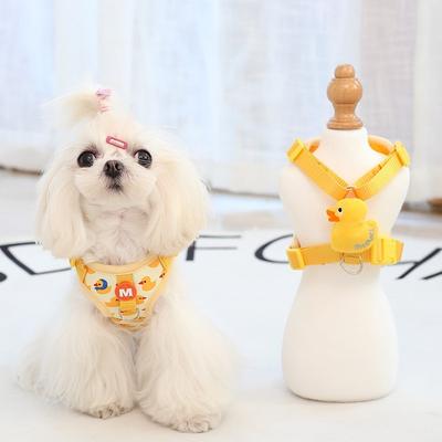 Cani – Collari e guinzagli per cani