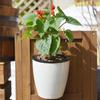 Resin Hanging Self Watering Planter Basket Plant Pot Flower Pot
