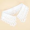 Women's Fashion Decoration Water-Soluble Embroidered Collar Shawl, Personalized and Versatile, Detachable Fake Collar