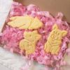 Instrumente pentru copt biscuiți – Ștampile pentru biscuiți