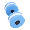 1 Pair Water Float Bodybuilding Training Fitness Yoga Dumbbell Barbell (Blue)