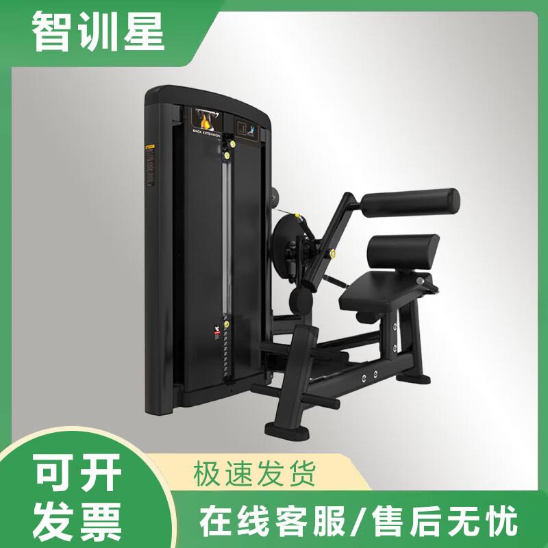 Zhi Xun Xing Li Liang Strength Training Equipment