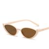 Kvinner Nye Small Cat Eye Solbriller Kvinner Menn Trendy Vintage Shades Eyewear Kjøring Sykkel Solbriller Halvramme solbriller