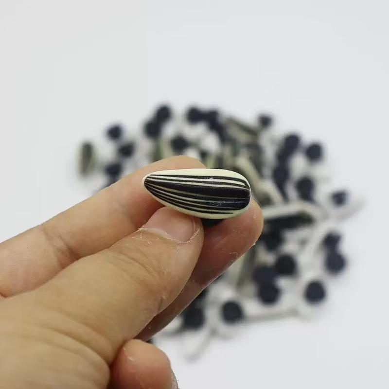 12 Stück Schwarze Sonnenblumenkern-Form Schuhe für Clogs Zubehör