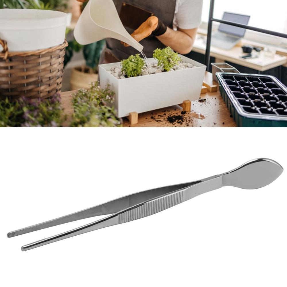 2PCS Silver Bonsai Tweezers Stainless Steel Serrated Tweezers Straight Tweezers Moss Maintenance