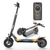 Trottinette électrique tout-terrain iScooter iX3 pour adultes - Moteur 800 W, autonomie de 40 km, pneus 10" et pliable