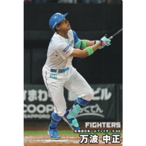 Professional Baseball Chips 2025 2nd Edition Reg-100 Mannami Nakamasa (Nippon Ham/Regular Card)