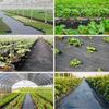 Weed Barrier Fabric With Water Permeable Pe Material For Garden And Farm Use