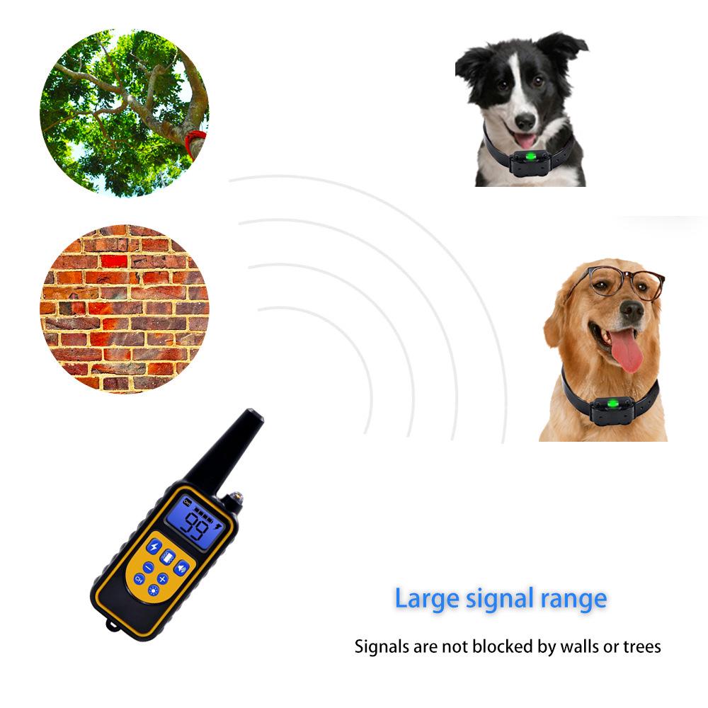Remote Dog Training & Anti-Bark Collar