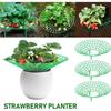 5 Pack Strawberry Plant Support - Strawberry Growing Racks with 3 Sturdy Legs, Waterproof Plant Trelli Protectors Reusable Plants Growing Frame Holder