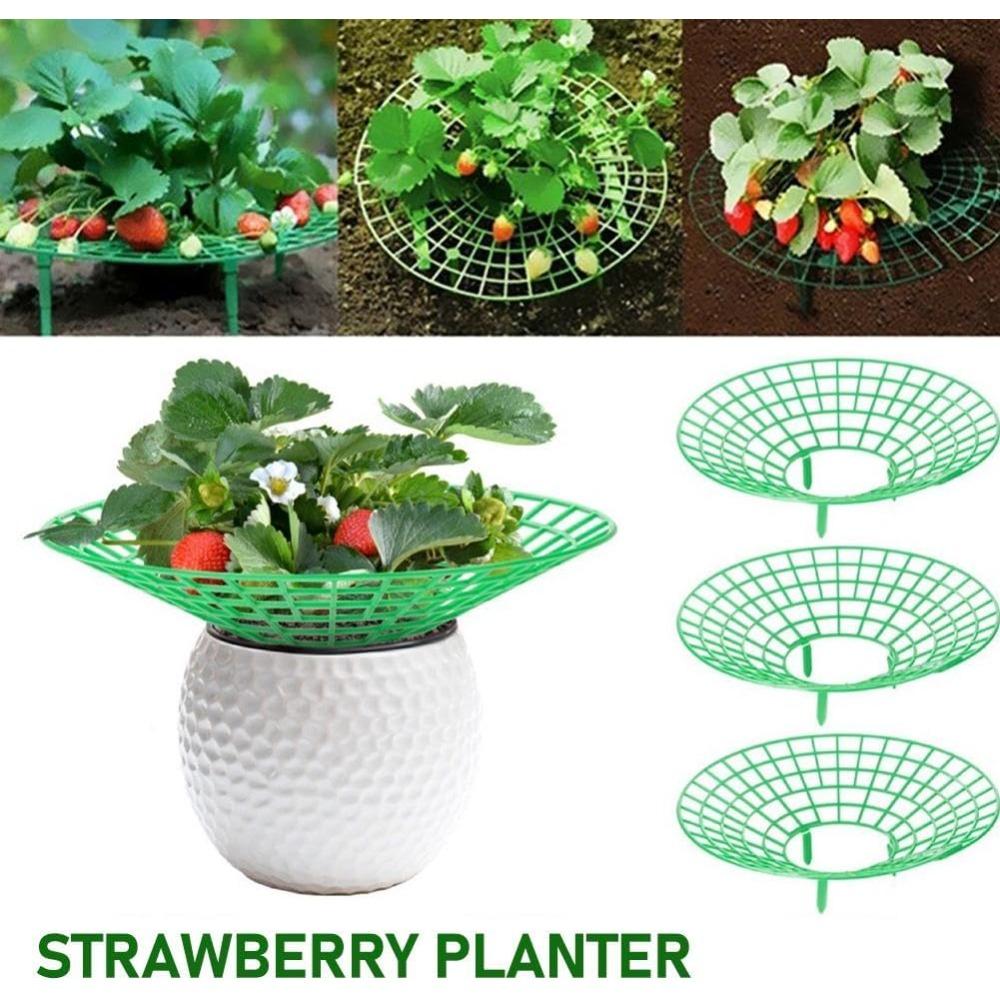 5 Pack Strawberry Plant Support - Strawberry Growing Racks with 3 Sturdy Legs, Waterproof Plant Trelli Protectors Reusable Plants Growing Frame Holder