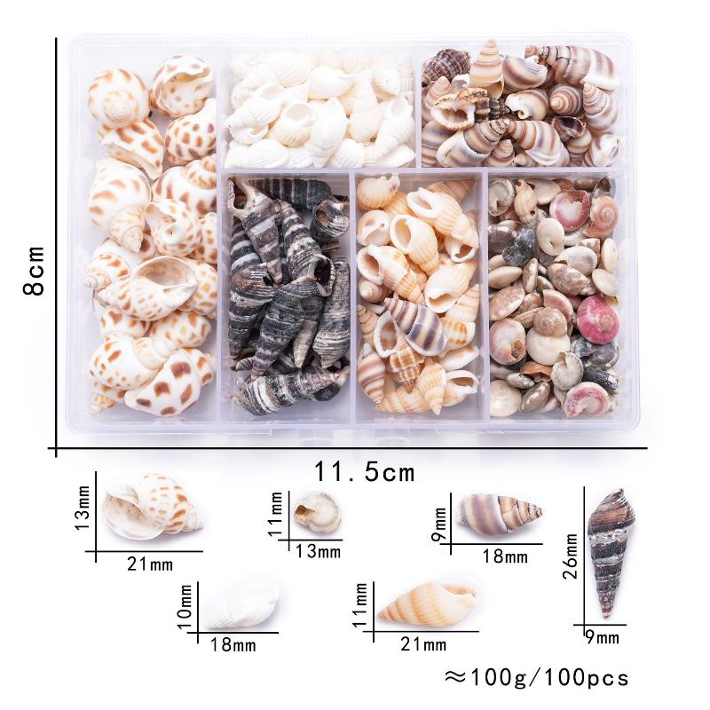 1 Box Sea Shells Spiral Shell Tiny Ocean Spiral Seashells Crafts Aquarium Decoration Landscaping Accessories Photography Props