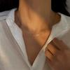 Titanstahl nicht verblassende Schlangenknochenkette Nischenhalskette Damen leichte Luxus-Halskette High-End-Schlüsselbein-Kette Ins-Kalt-Stil Zubehör
