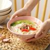 Japanese Style Underglaze Ceramic Noodle Bowl