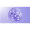 NEOGEN - Dermalogy Double Vita Capsule Cleansing Foam