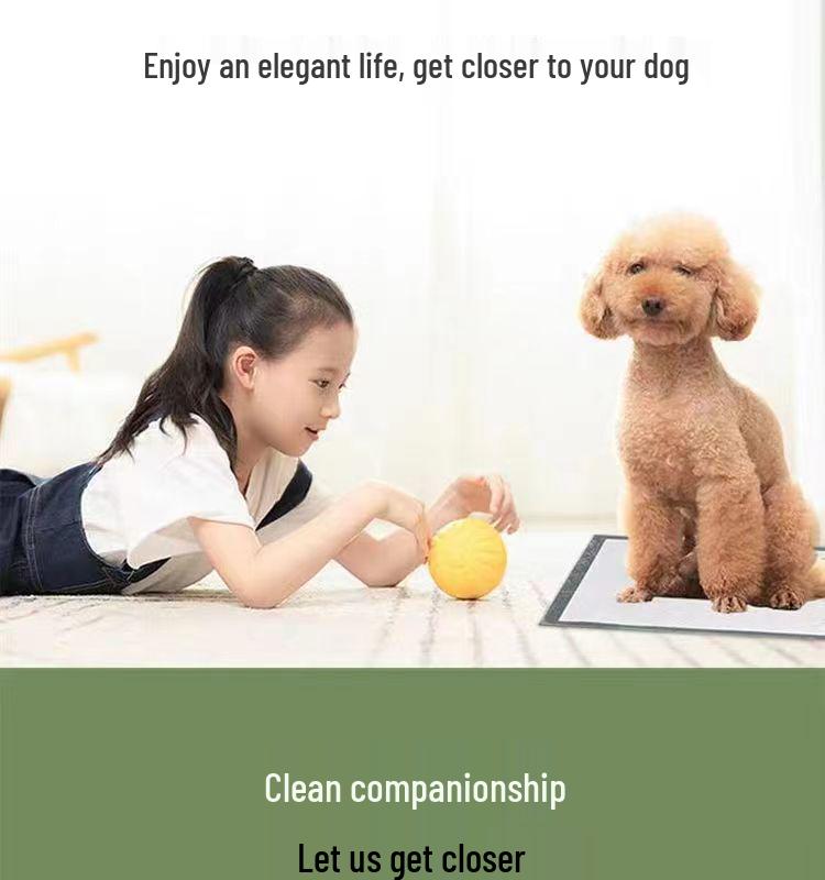 Thickened, Deodorizing Pet Training Pads - Absorbent, Leak-Proof, Disposable Dog & Cat Diapers