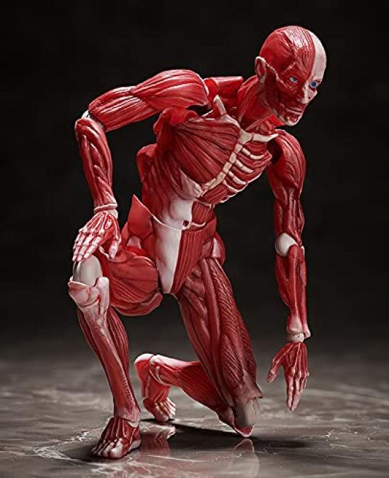 Figma модель человеческого тела раскрашенная подвижная фигурка F51042 нестандартного масштаба АБС и ПВХ