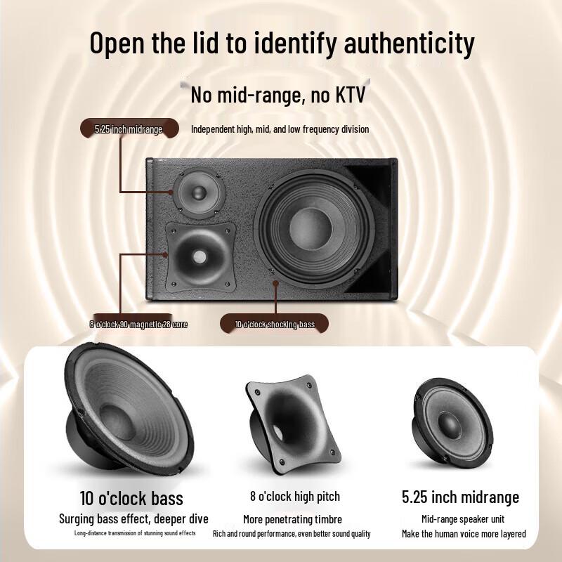 SAST Professional Home KTV Karaoke System CN Plug (adapter Included) (CN Version)