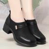 New Slip On Spring Soft Shoes Woman Vintage Ladies Dress Pumps Thick High Heels Platform Shoes Retro Brown Daily