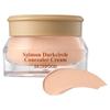 Skinfood Salmon Dark Circle Cream Concealer 10g, 1 Pcs, No. 0 Salmon Light