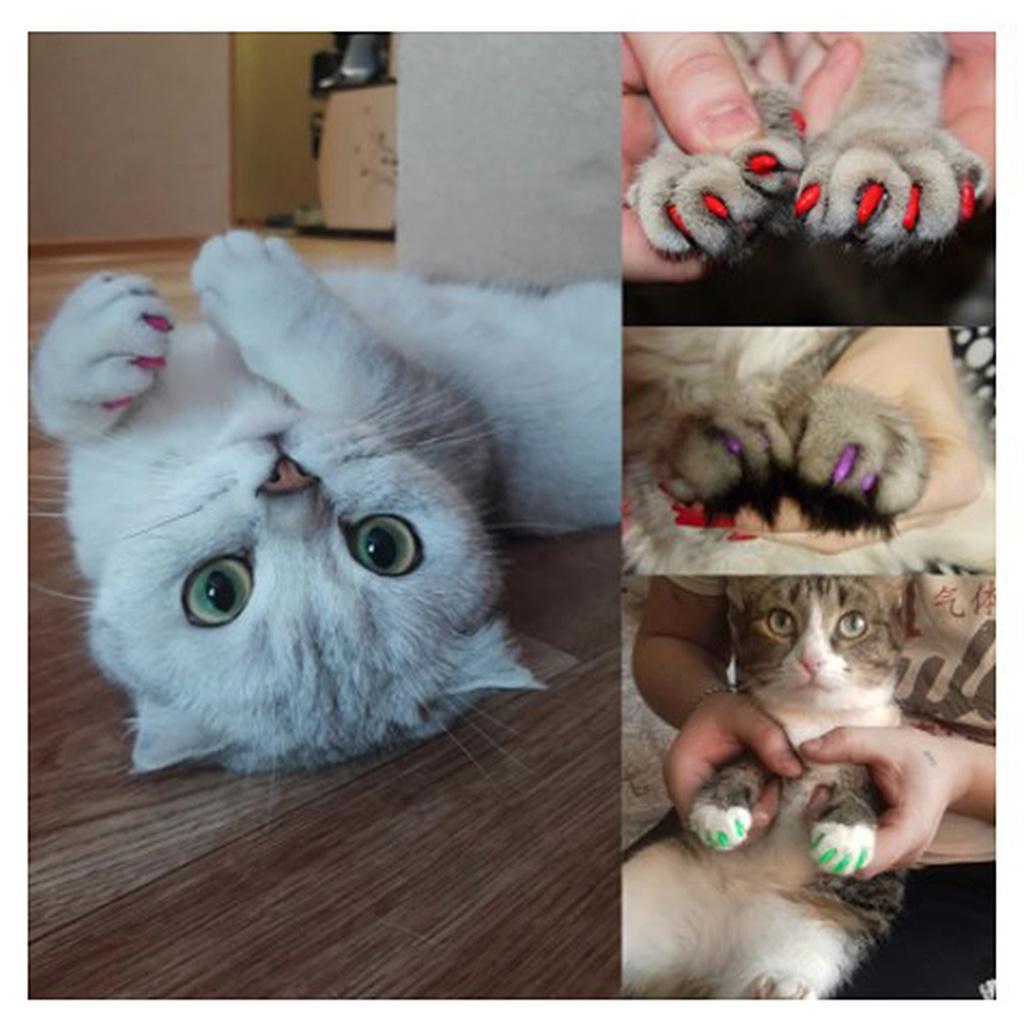 20Pcs Domestic Animal Sheath Pet Nail Covers Protect Small Nails