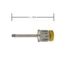 Dental Implant Screwdriver Set with Torque Wrench for Phase II Restoration