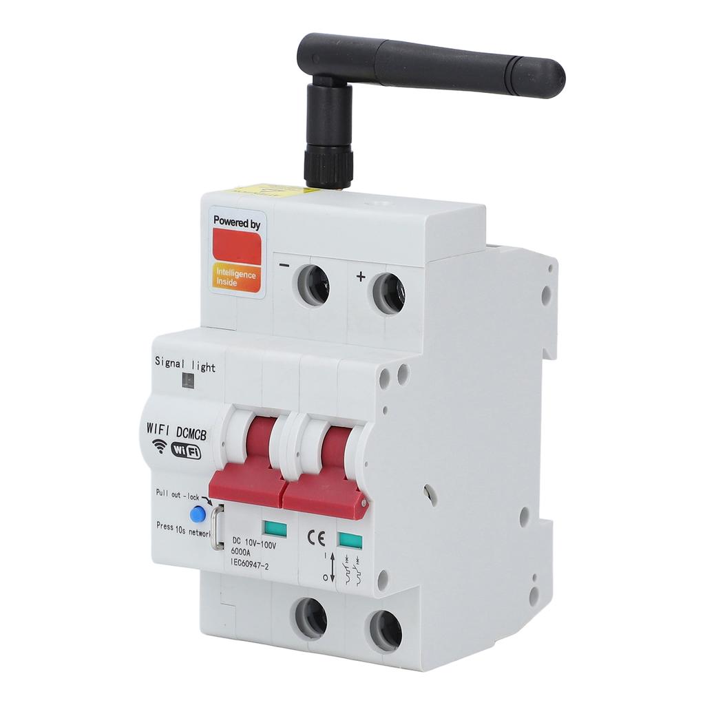 Smart DC Circuit Breaker 2P APP Control Voice Control WiFi Circuit Breaker with Safety Lock DC10‑100V 80A