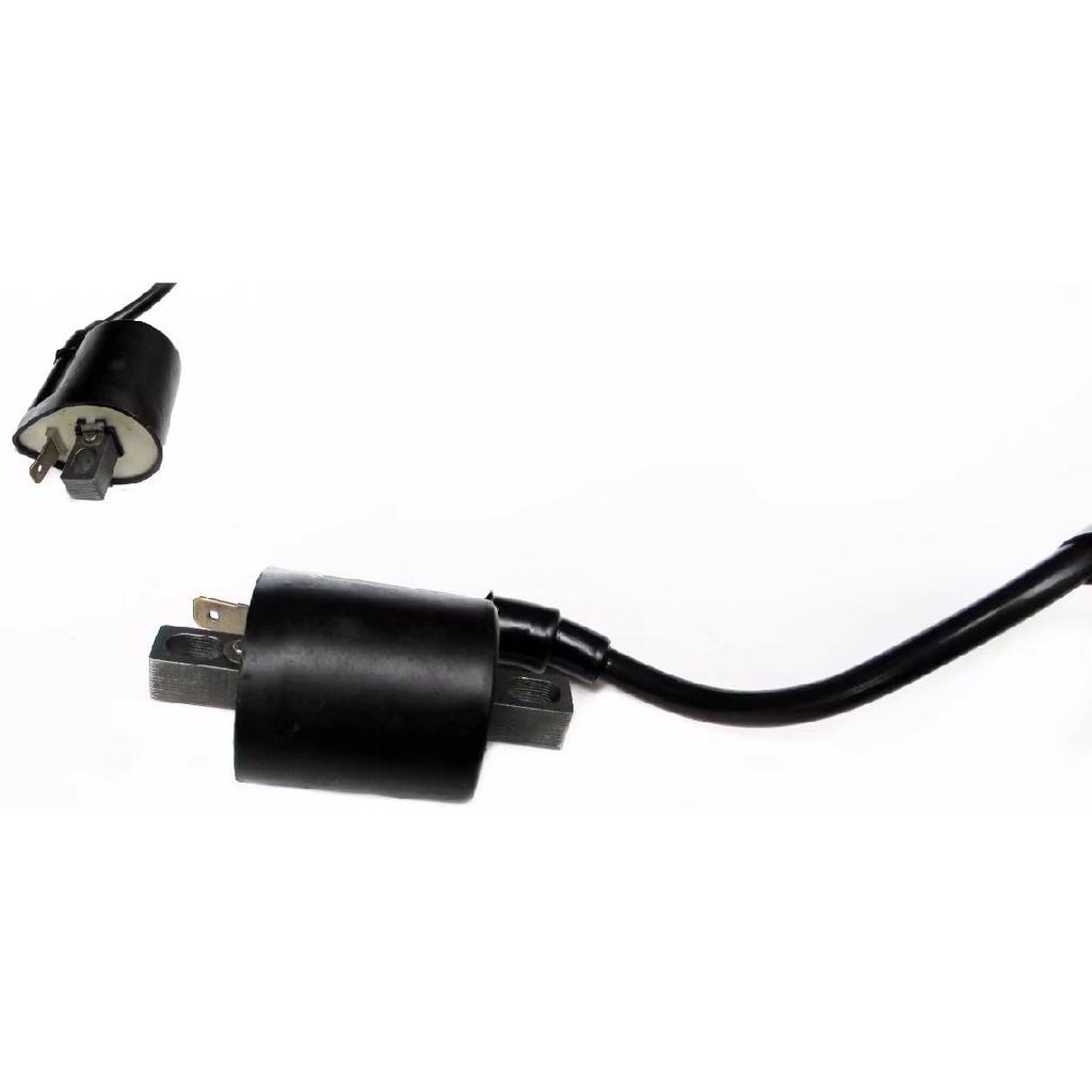 Ignition Coil Fits Yamaha Bruin 350 2WD 4WD 2004-2006