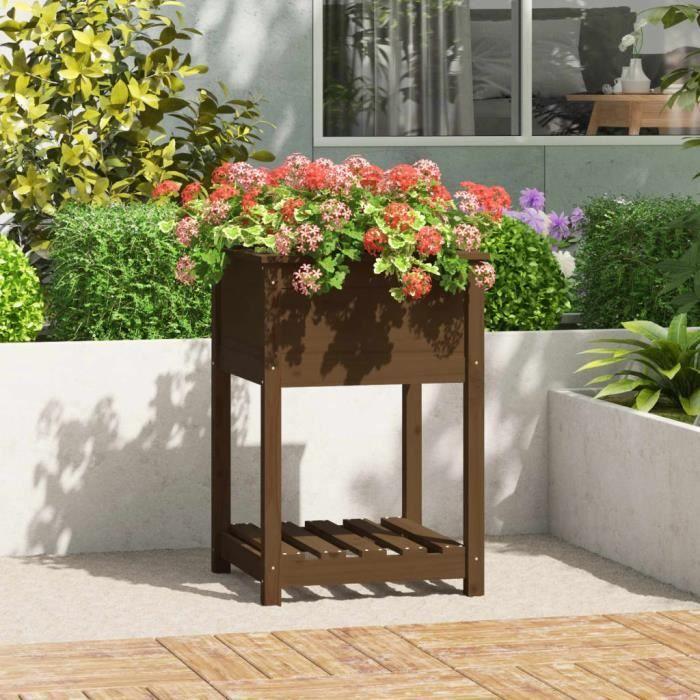VidaXL Jardinière avec étagère Marron miel 54x54x81 cm Bois de pin 823776