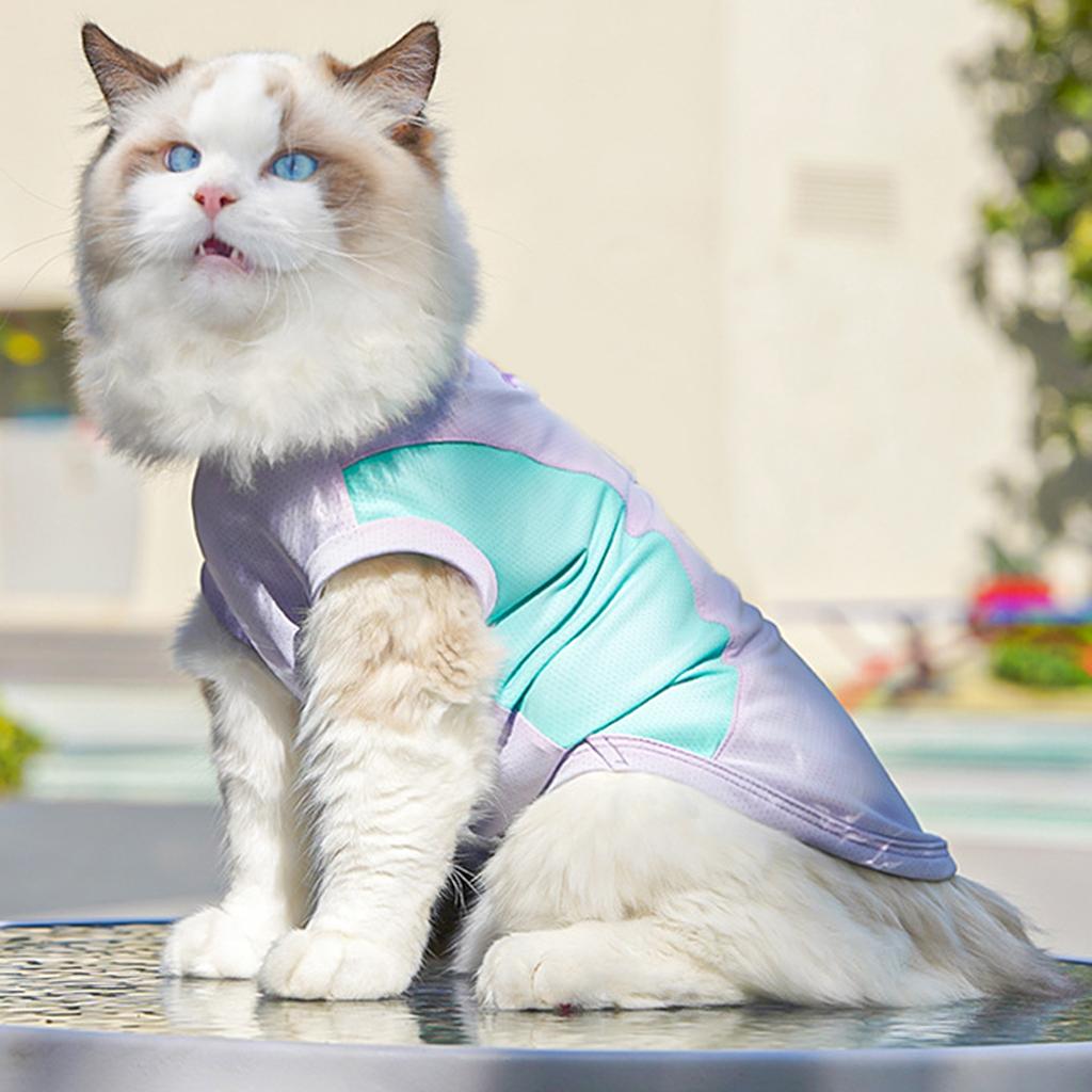 Hunde Westen Shirts Atmungsaktive Kühle Jacke Sonne Welpe Hund Kühles Shirt Für Outdoor Spaziergänge Training Wandern