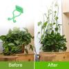 100PCS Plant Climbing Wall Fixture Wall Vines Fixing Clip Self Adhesive Branch Fixture Securing Clip