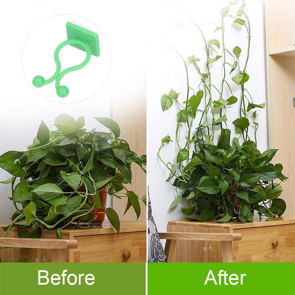 100PCS Plant Climbing Wall Fixture Wall Vines Fixing Clip Self Adhesive Branch Fixture Securing Clip