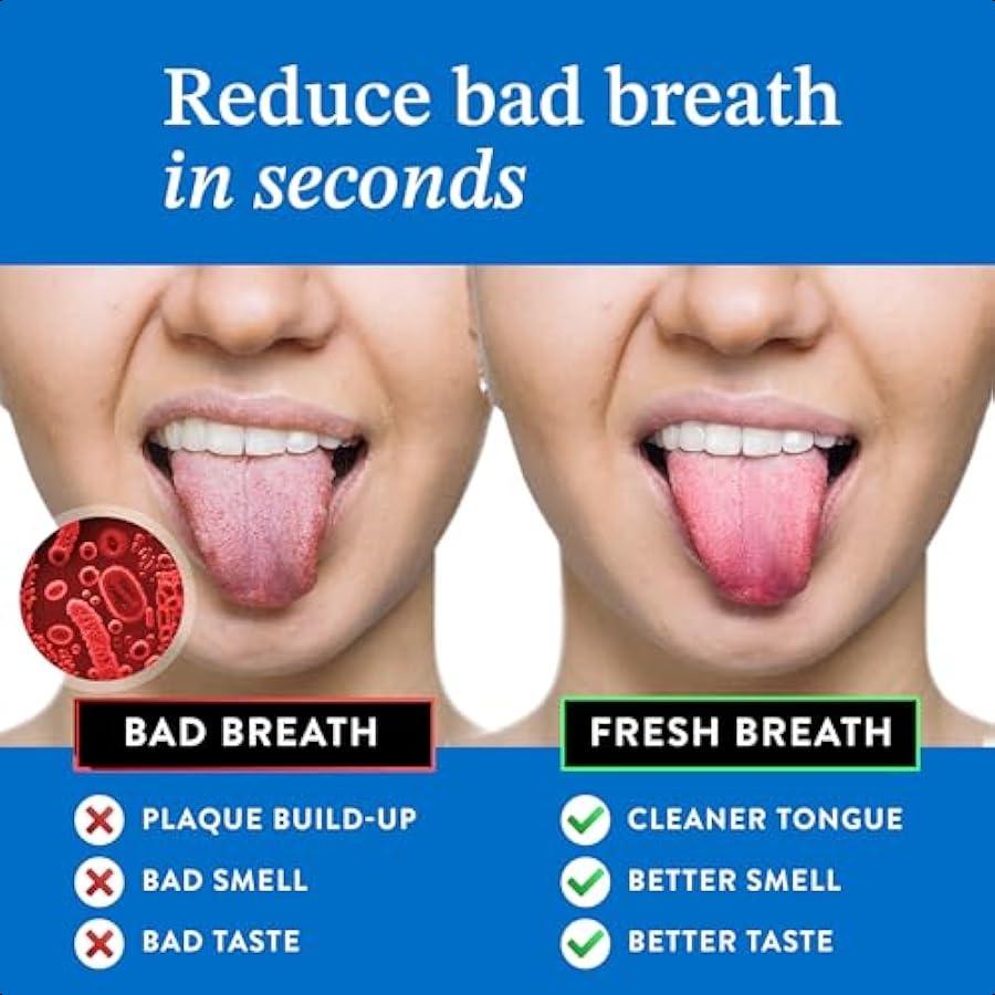 

Mouthology Tongue Scraper for Adults 2 Pack Reduce Bad Breath Metal Tongue Scraper Tongue Cleaner Tongue Scraper Stainless Stee United States