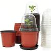 Plant Nursery Pot20-40Personal Reusable Moisturizing Breathable Round Transparent Lid Seedling Tray Planting Tool