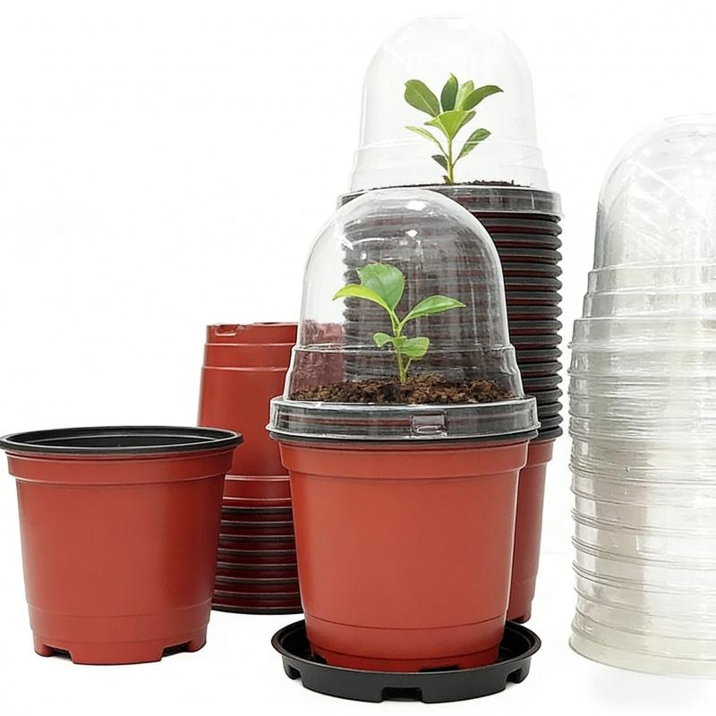 Plant Nursery Pot20-40Personal Reusable Moisturizing Breathable Round Transparent Lid Seedling Tray Planting Tool