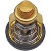 Outboard Engine Thermostat 60V-12411-00-00 68V-12411-00 Replacement for Yamaha Outboard F115 LZ250 VZ225 Z250 Z300