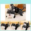 Lovable Husky Plushie Four-way Stretch Fluffy Soft Toy For Girls