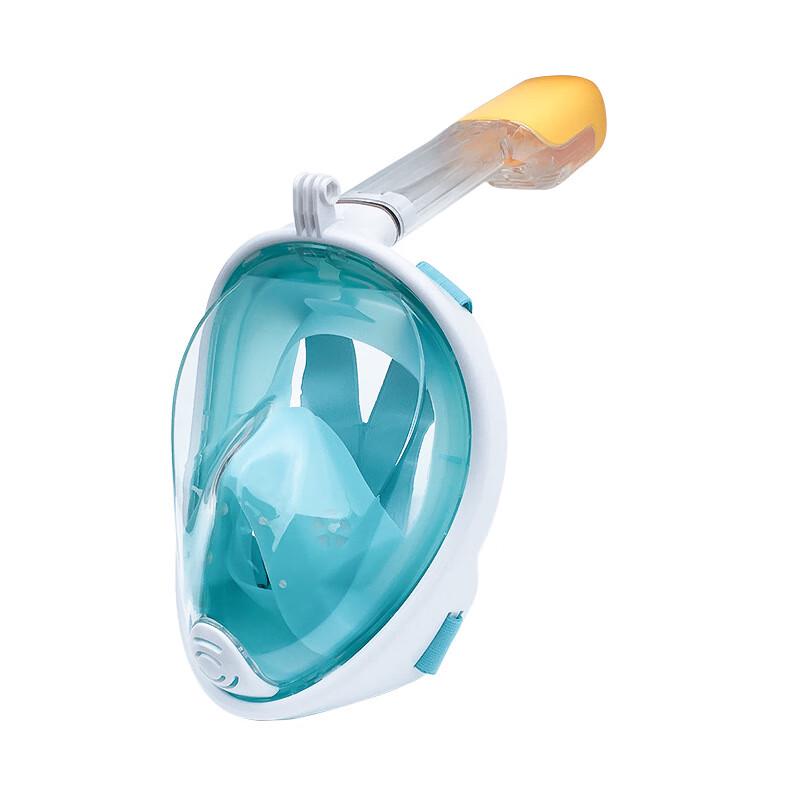 Full Face Dry Snorkel Mask
