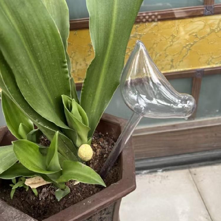 Automatic Watering Device Bird Shape Plant Waterer Watering Device Houseplant Watering Spikes Automatic Drippers