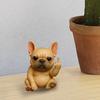 Middle Finger Animal Statue Cartoon Dog Cat Elephant Mouse Highland Cow Frog Turtle Hedgehog Figurine Resin Sculpture Desktop Decoration Ornament