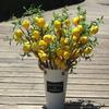 1pc-European Style Artificial Lemon Branch Simulation Lemon Fruit Green Plants Home Decoration Flower Arrangement for Hotels