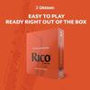 D'Addario WoodWinds Daddario Reed for Alto Saxophone RICO RJA1020 [Hardness: 2.0] Pack of 10 [Dom...