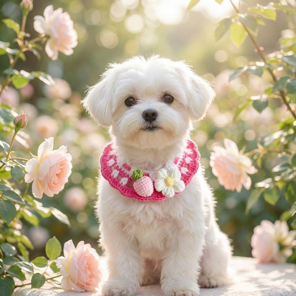 Sweet Flower Pet Scarf Bib Adjustable Cat Woven Bib Cute Pet Cat Necklaces  Photo Shoots